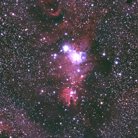NGC2264