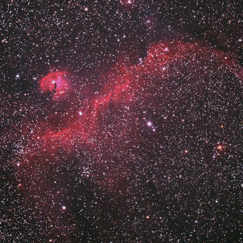 IC2177