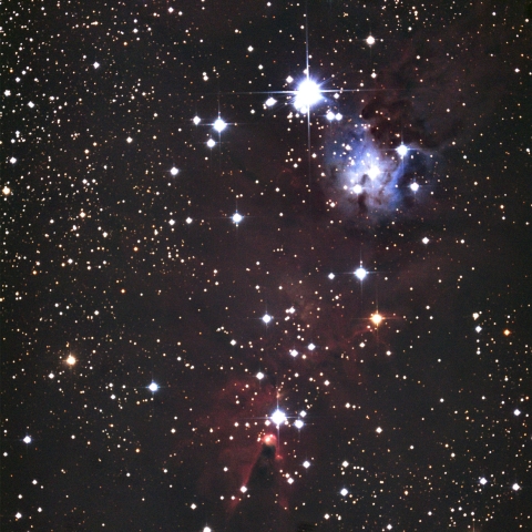 NGC2264