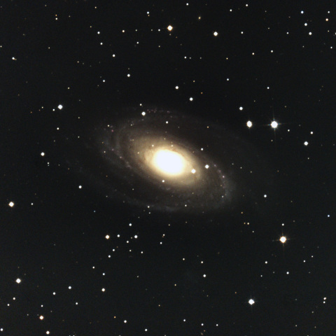 M81