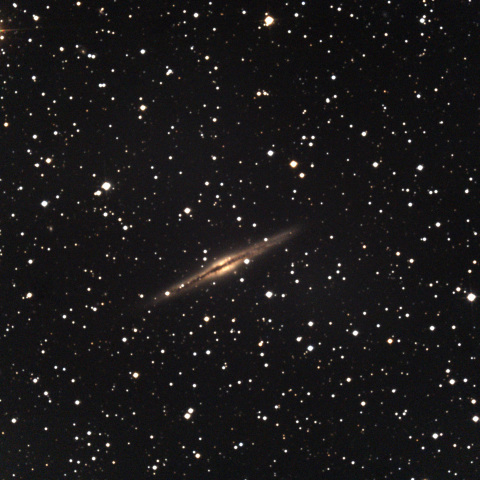 NGC891