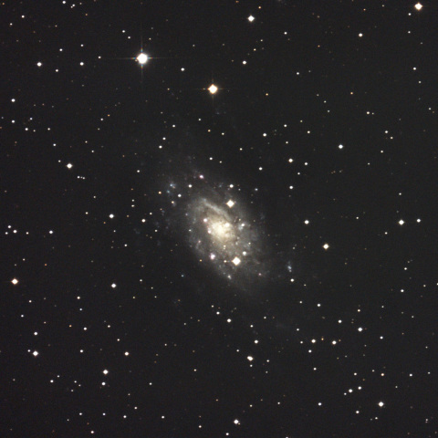 NGC2403