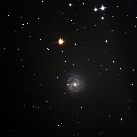 NGC3184