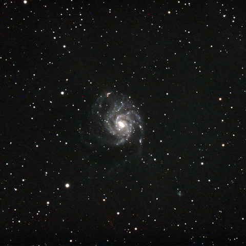 M101
