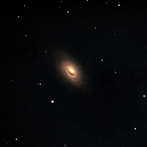 M64
