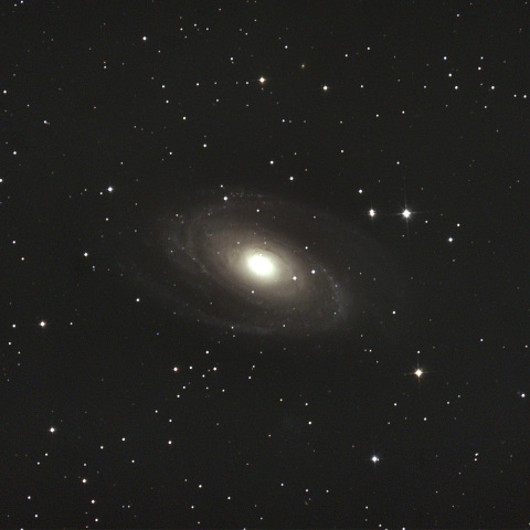 M81
