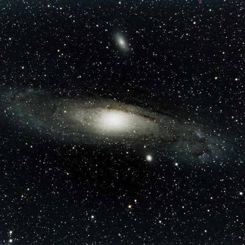 M31