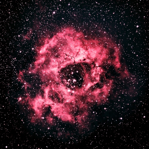 NGC2237-9