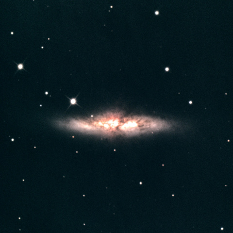 M82