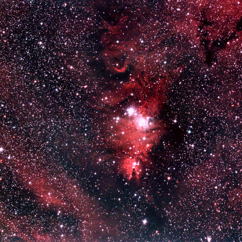 NGC2264