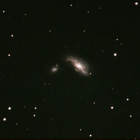 NGC4490