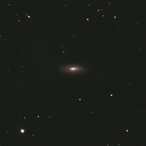 NGC5005