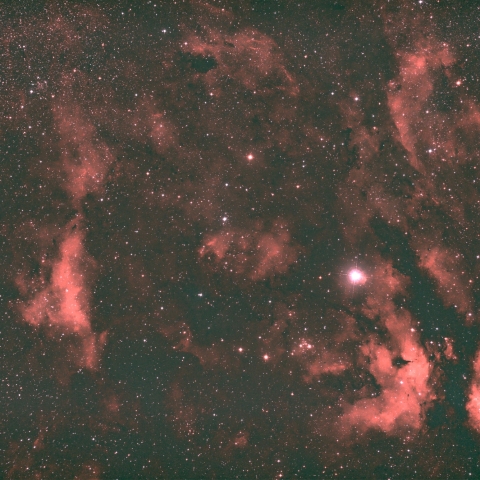 IC1318