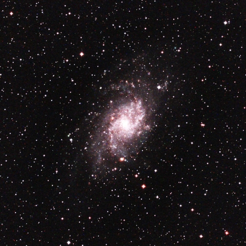 M33
