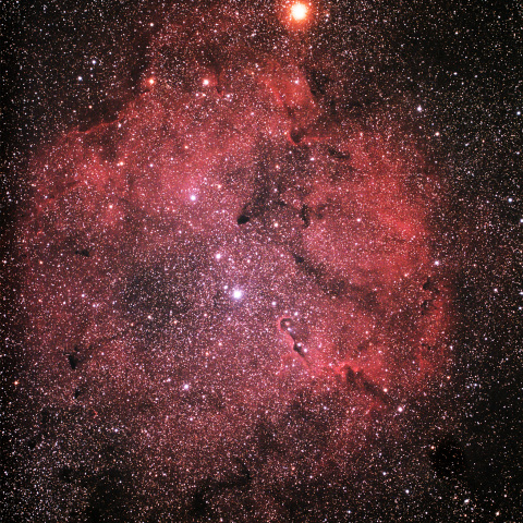IC1396