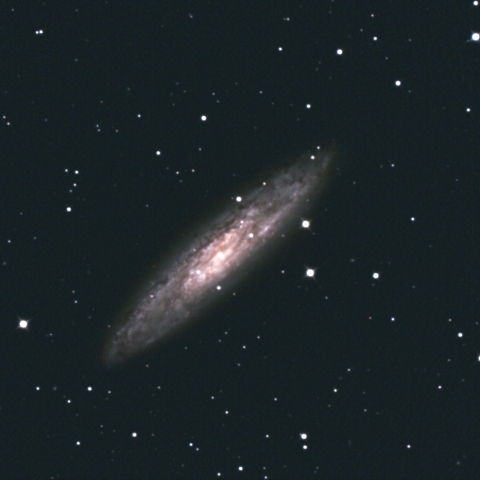 NGC253