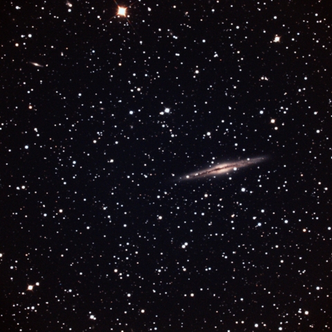 NGC891
