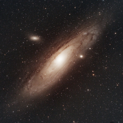 M31