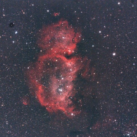 IC1848