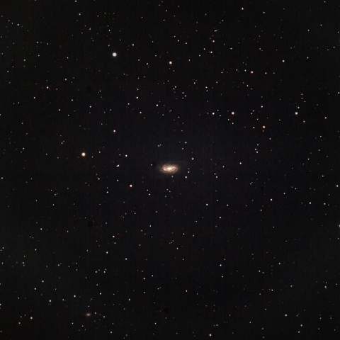 NGC2903