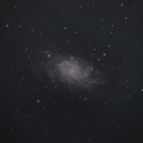 M33