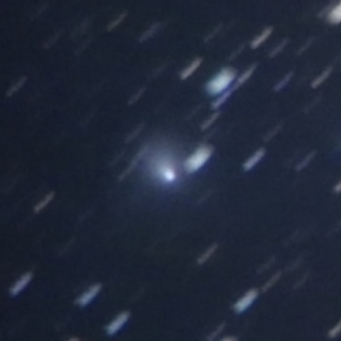 2013X1パンスターズ