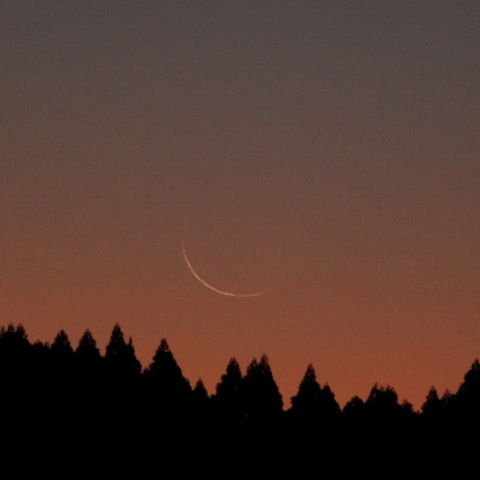 月齢２８．５の月