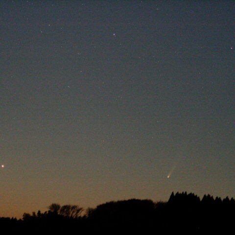 アイソン彗星と水星（11月23日）