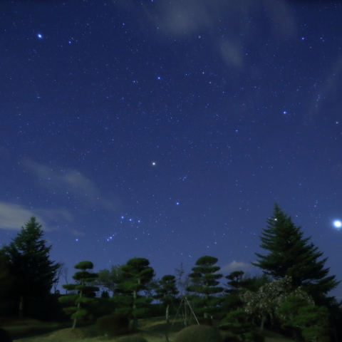 金星とプレヤデス星団の接近
