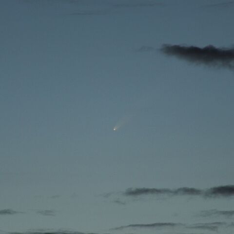 紫金山・アトラス彗星