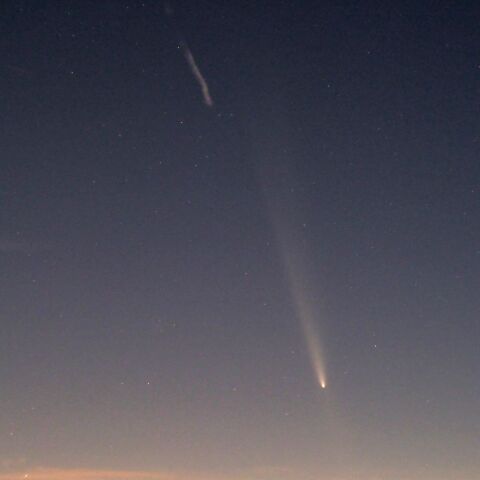 紫金山・アトラス彗星