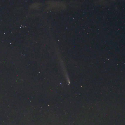 紫金山・アトラス彗星