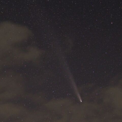 紫金山・アトラス彗星