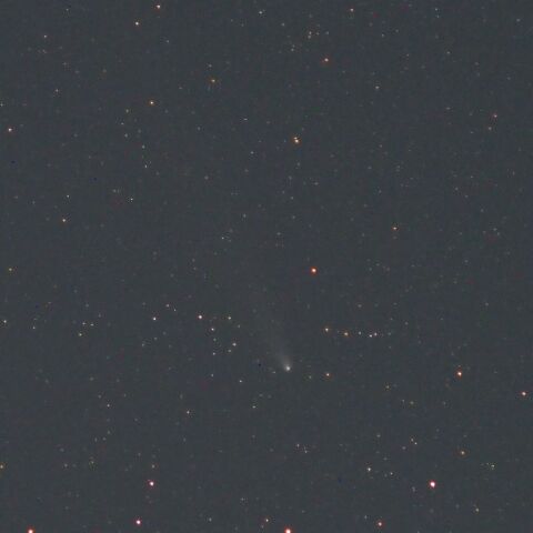 11月4日の紫金山・アトラス彗星