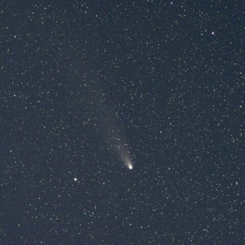 11月6日の紫金山・アトラス彗星