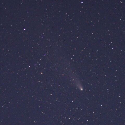 今夜、11月8日の紫金山・アトラス彗星