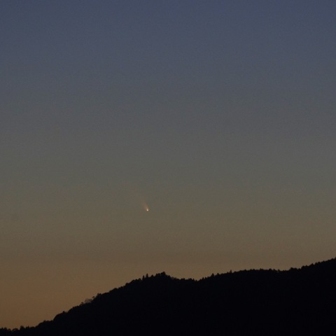 パンスターズ彗星