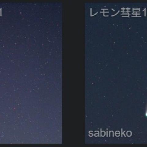 レモン彗星　尾の傾きの変化