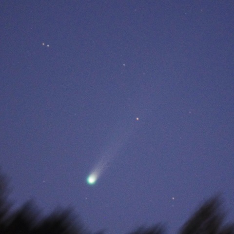 今日のアイソン彗星