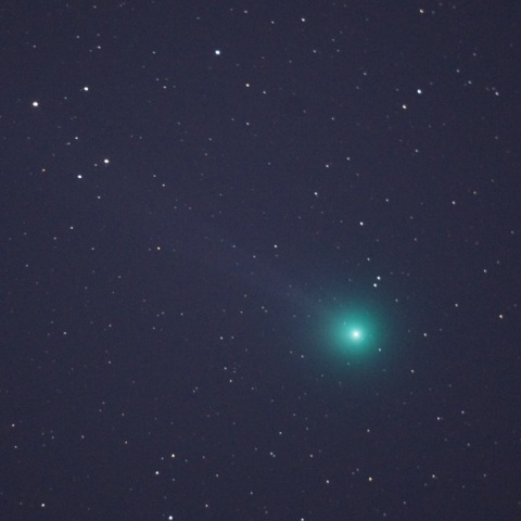 ラブジョイ彗星