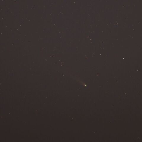 今日のレナード彗星