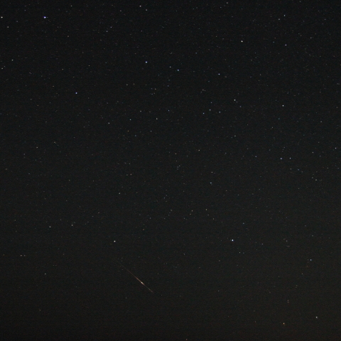 秋空のペルセウス座流星群