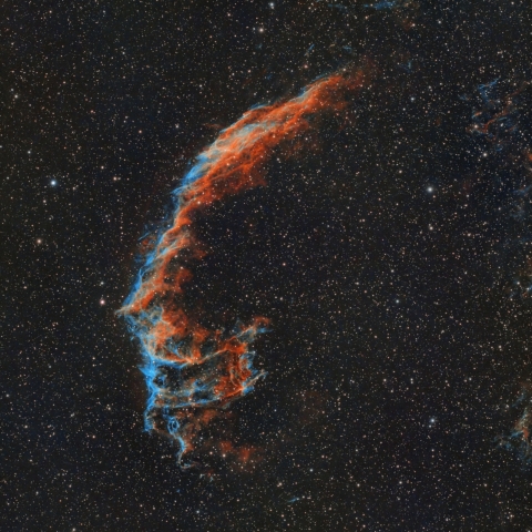 都内からのはくちょう座網状星雲東