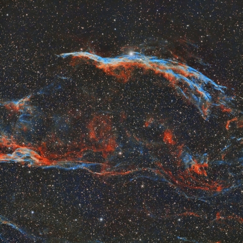 都内からのはくちょう座網状星雲西