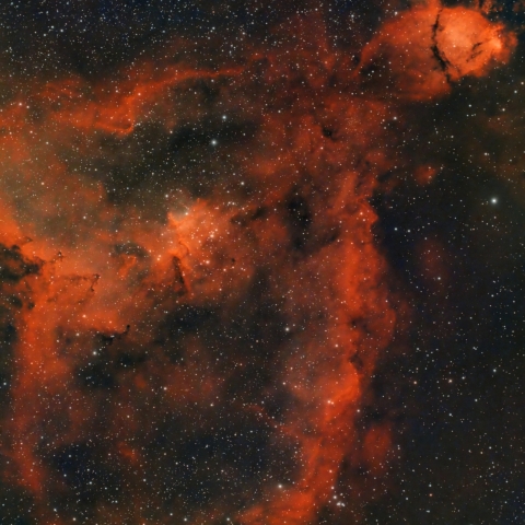 都内からのカシオペア座ハート星雲（一部）