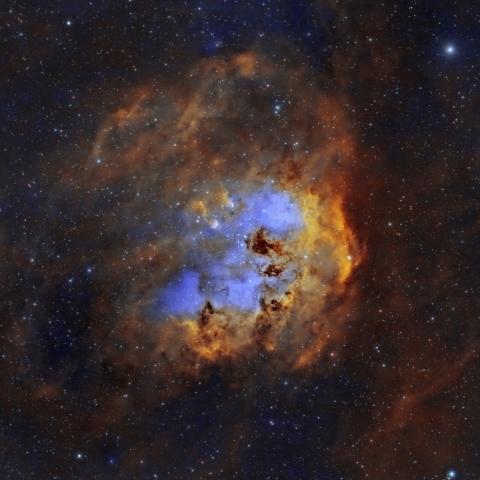 都内からのおたまじゃくし星雲