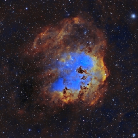 都内からのおたまじゃくし星雲 II