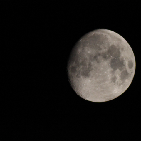 2010/09/20 月齢 11.7