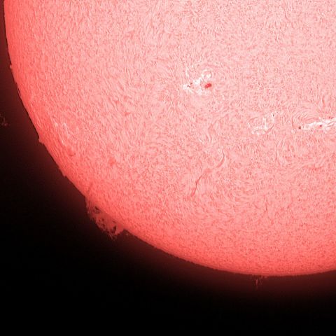 太陽（８月１４日）