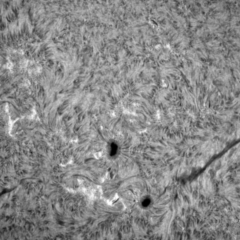 太陽黒点1959　1960
